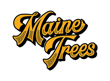 Maine trees.jpg