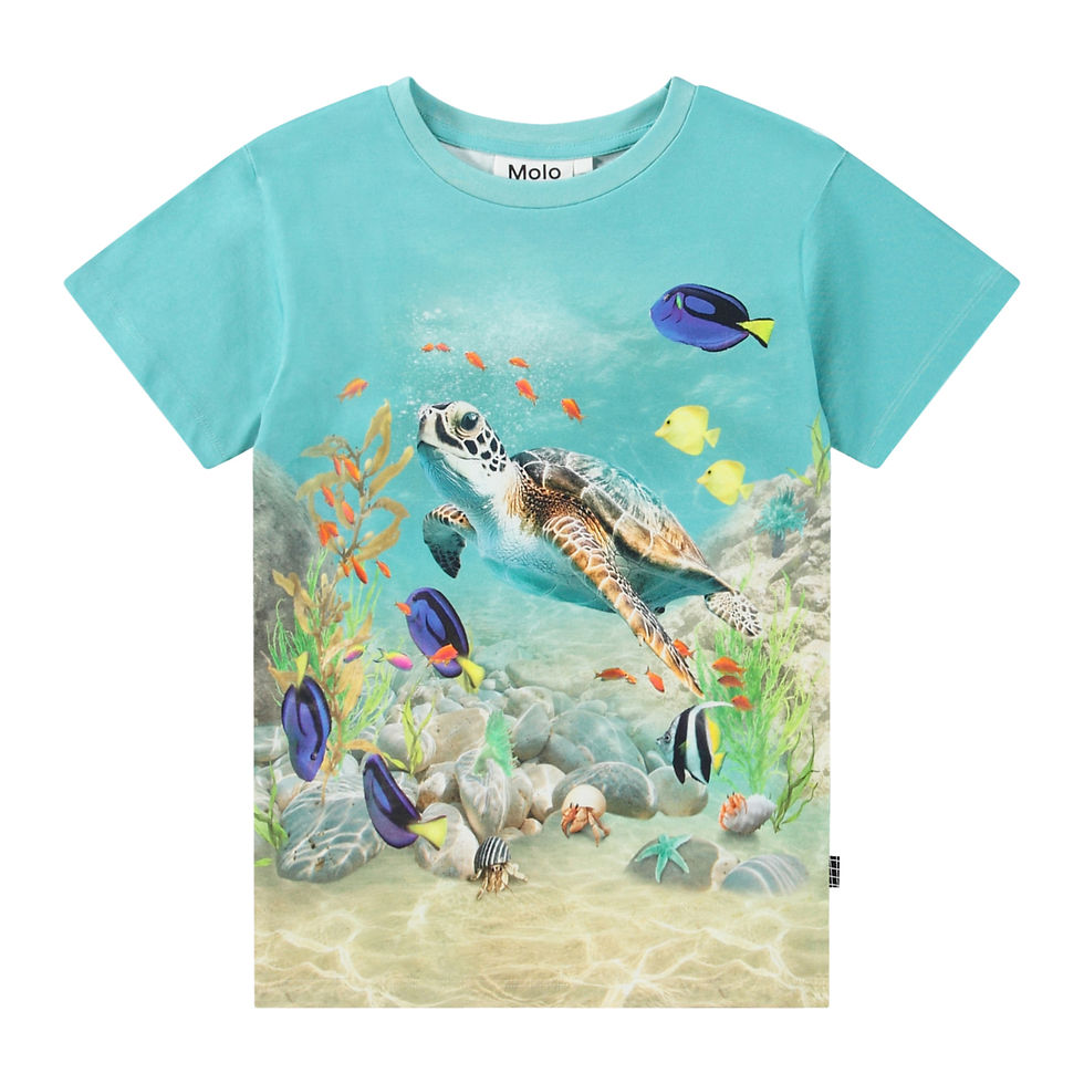 "Raul" T-Shirt Jungs - Molo