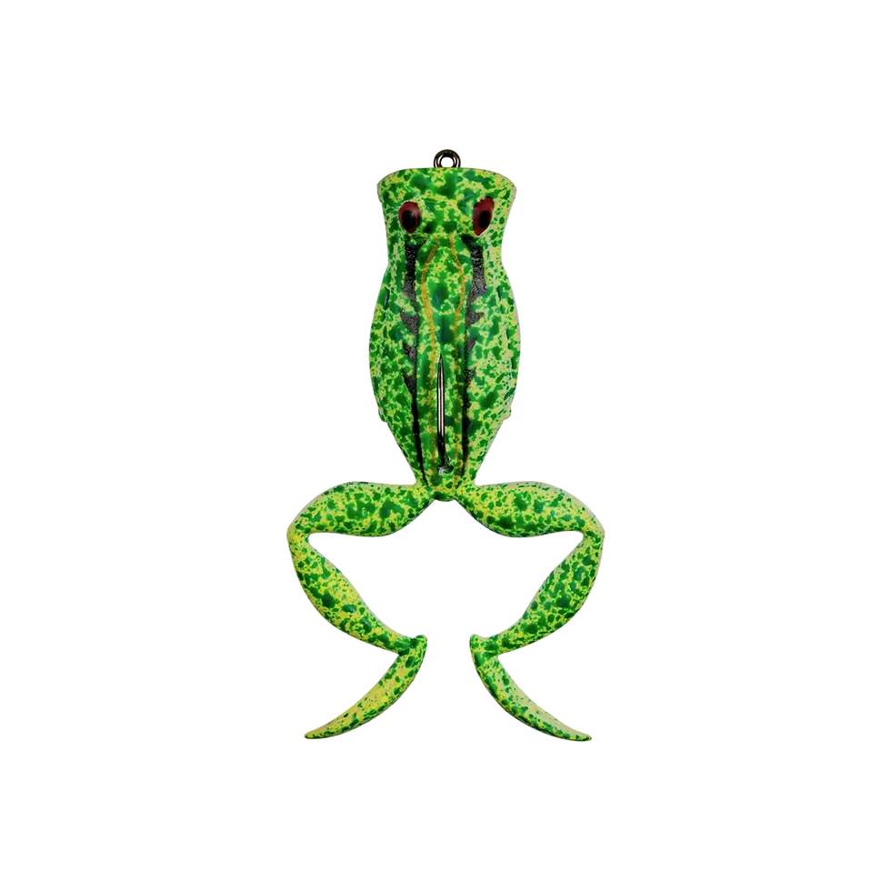 Thumbnail: Sensation Action Frog