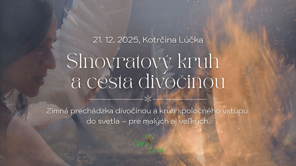 Slnovratový kruh a cesta divočinou