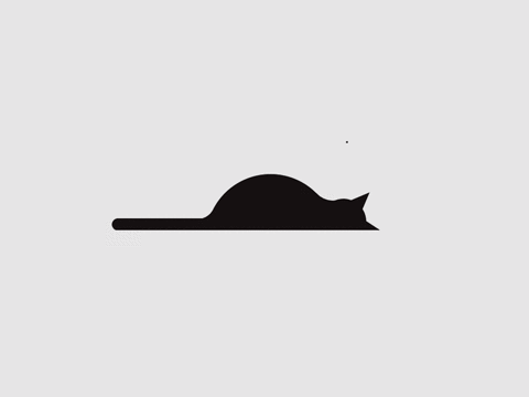 gif3.gif