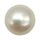 copy_9E41CEB6-F5C1-411E-BA04-E55CFB78F7DB_edited.png