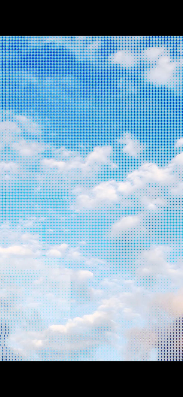 IMG_3137.png