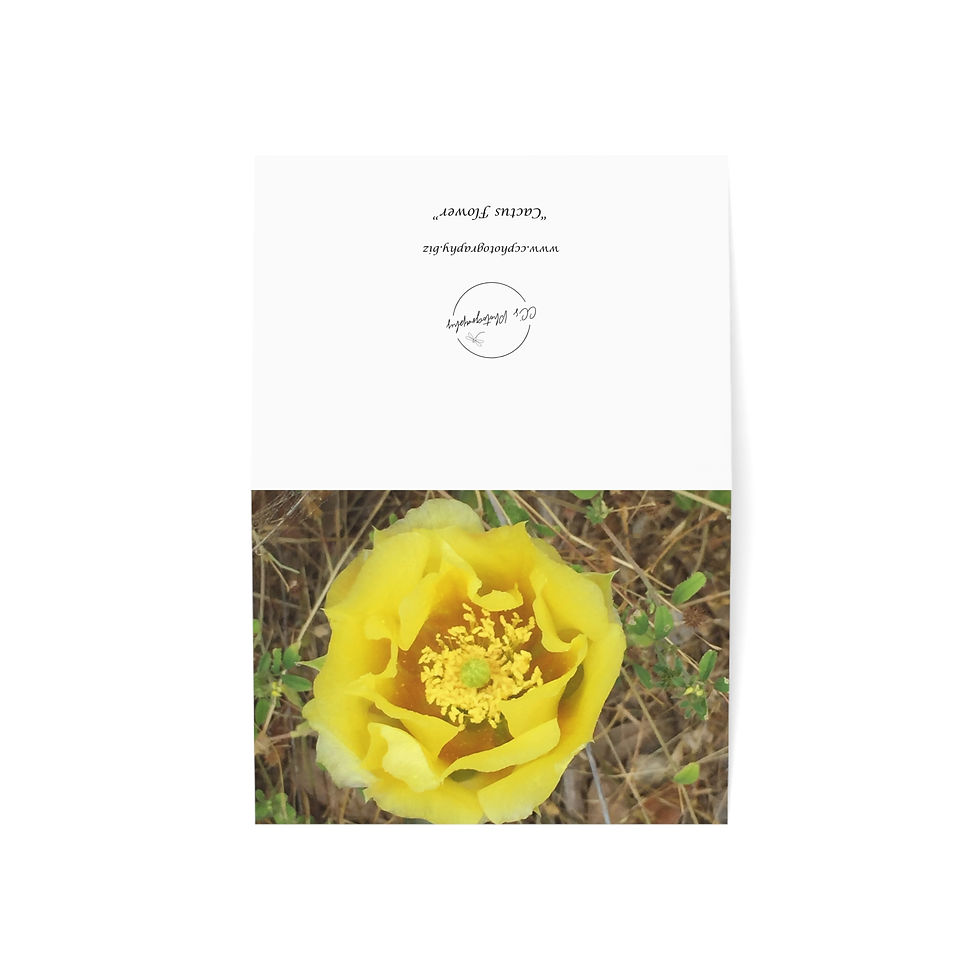 Thumbnail: "Cactus Flower" Greeting Card
