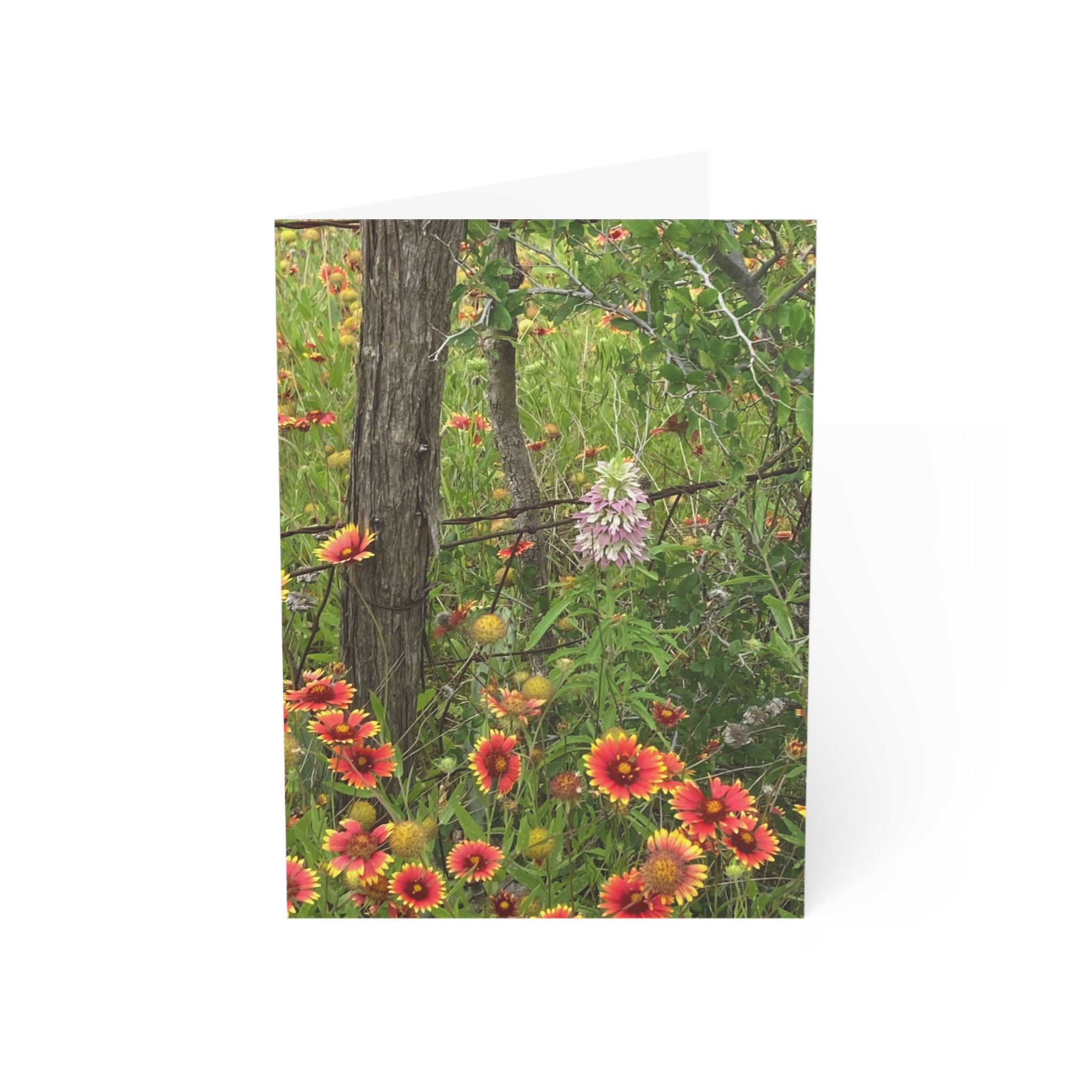 "Floral Fencepost" Greeting Card