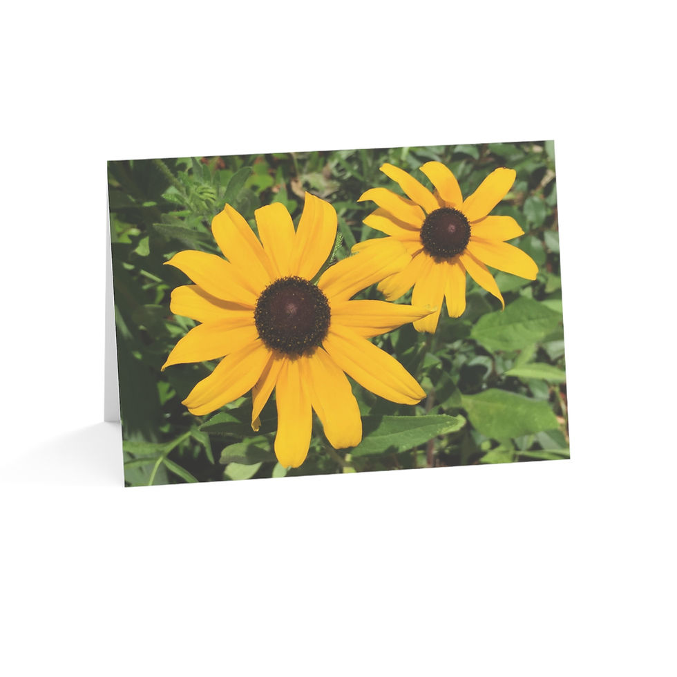 Thumbnail: "Brown-Eyed Susans" Greeting Card