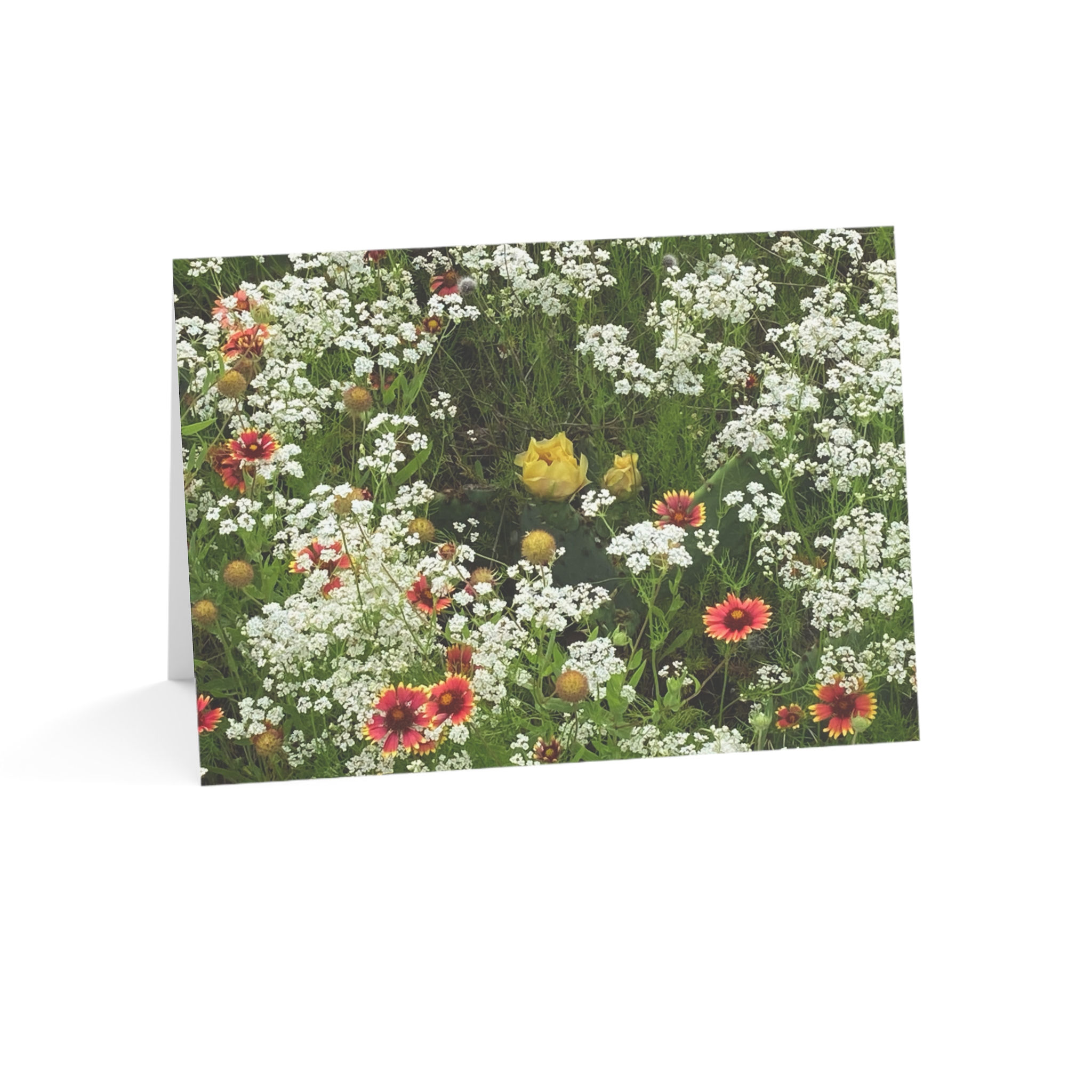 "Blooming Texas" Greeting Card