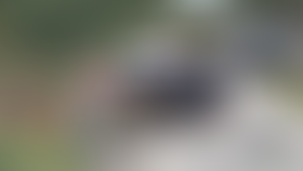 Tractor trailer hauling logs overturns on Route 220