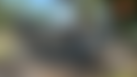 Bassett Heights Road Extension home burns down