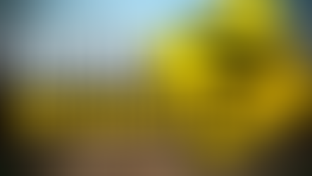 Broadband expansion in Henry County to begin in March