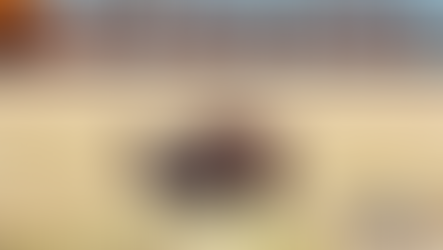 Henry County K9 “Raja” retires