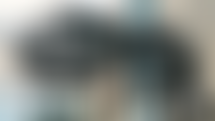 EBT cardholders get free VMNH admission thanks to grant