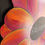 Thumbnail: Rainbow Sherbet Gerber Daisy with Chalkboard