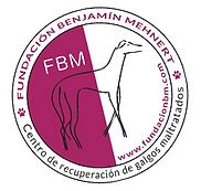 fbm.PNG