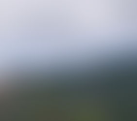 Day Eleven: castagniccia hill villages