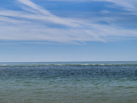 Isla Armona