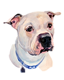 Picture2.png