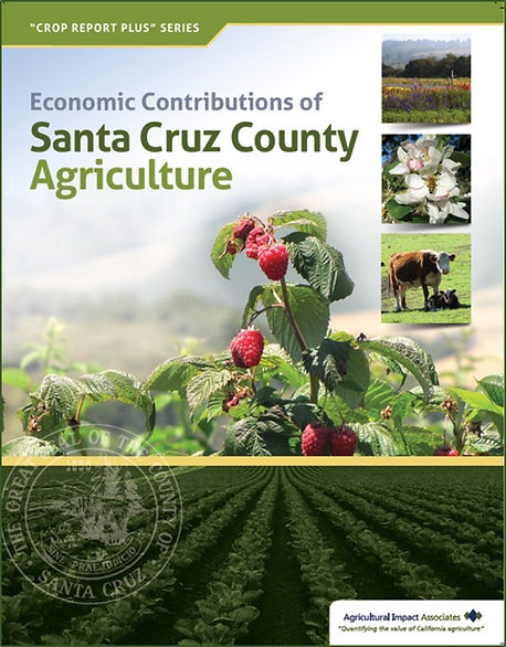 SANTA CRUZ-cover.jpg