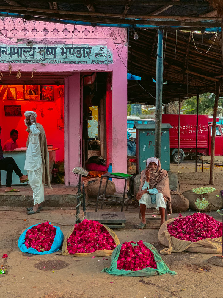 The Jaipur Wholesale Flower Market