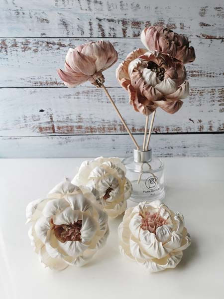 Thumbnail: 6 Rare Wood- White Pink Peony Flower 3" Sola Flower Reed Diffuser