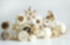 Thumbnail: 25 Mixed Sola Flower Reed Diffuser  2"  for Home Fragrance