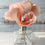Thumbnail: 6 Peach Rose Sola Flower Reed Diffuser 2.5"
