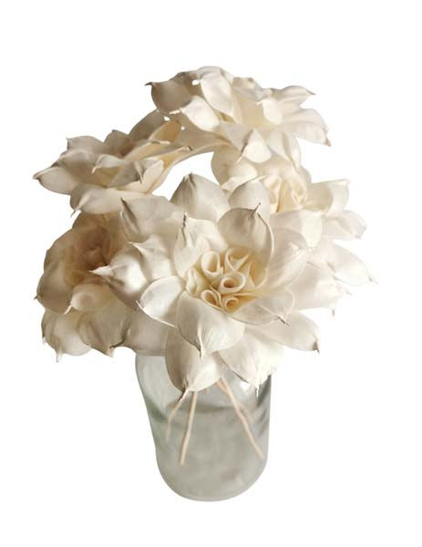 Thumbnail: 5 Mandala Sola Flower 3" Reed Diffuser