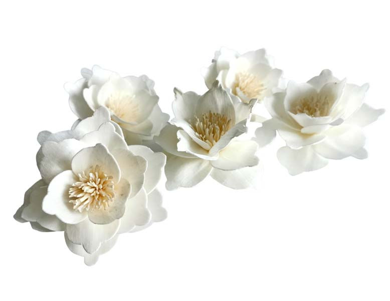 Thumbnail: 5 Snowflake Sola Flower  3" Reed Diffuser