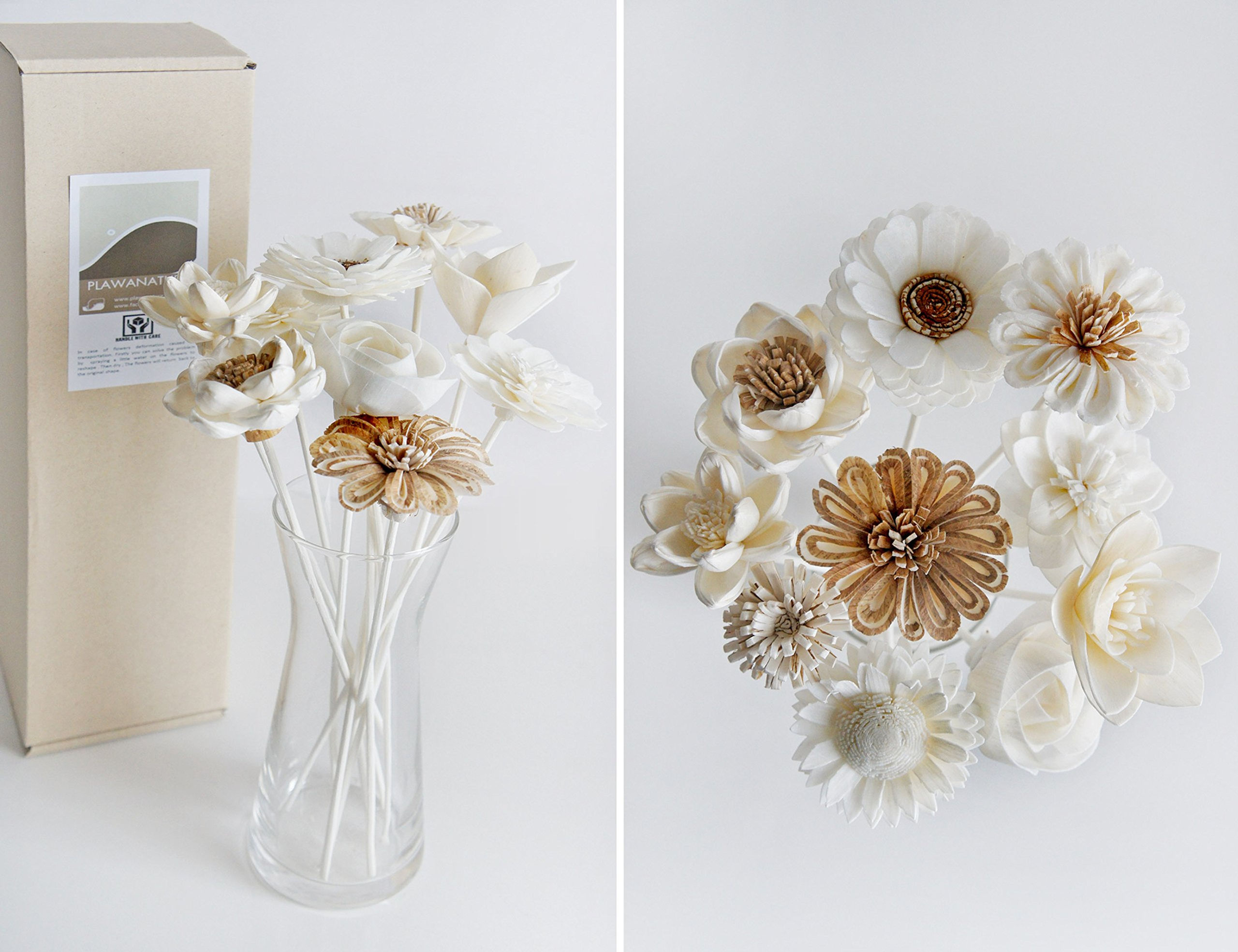 10 Mixed Popular Sola Flower with Reed Diffuser 2" for Home Fragrance