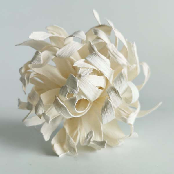 Thumbnail: 5 Spider Lilies Sola Flower 3" Reed Diffuser for Aromatherapy