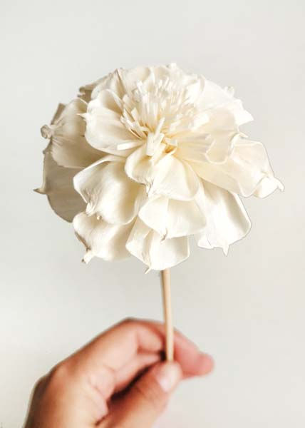Thumbnail: 5 Magnolia 3" Sola Flower  Reed Diffuser Stick