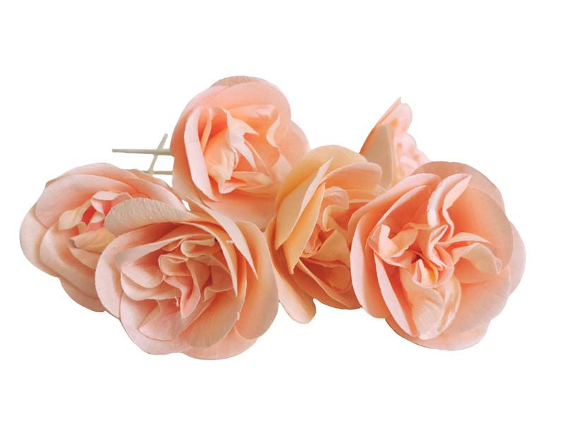Thumbnail: 6 Peach Rose Sola Flower Reed Diffuser 2.5"