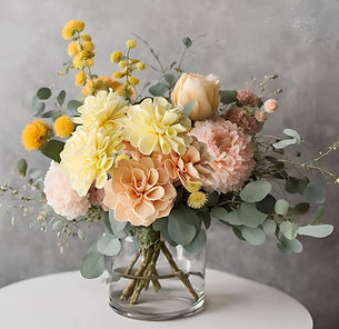 peach yellow camellia sola flowers