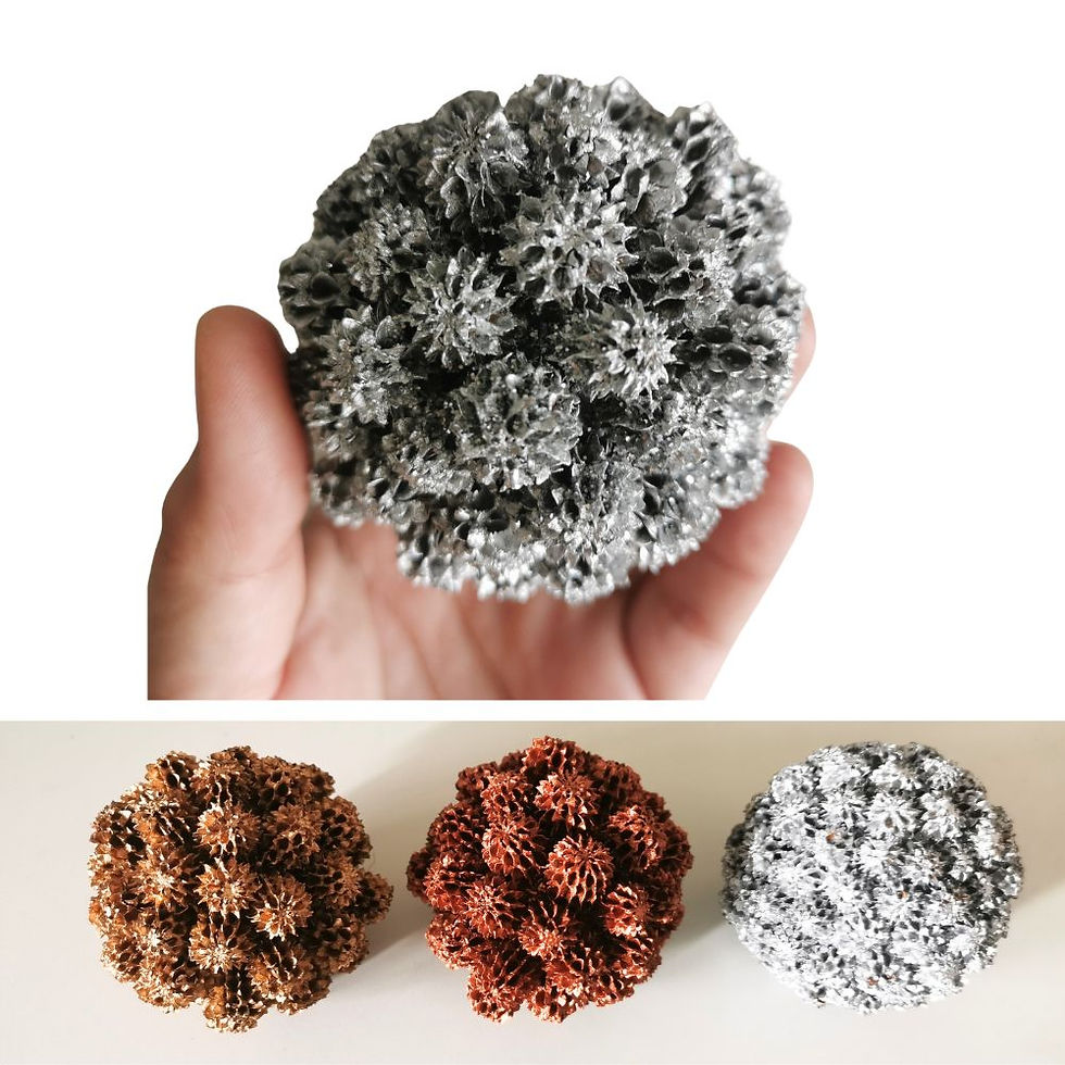 Mini sea pinecones
