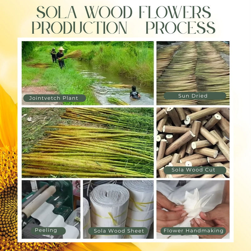 Thumbnail: The Sun Tarot Sola Flower Reed Diffuser Spiritual Gift