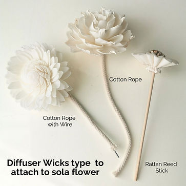 wick diffuser comparison_2.jpg