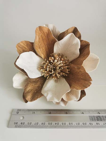 Thumbnail: 6 Grandiflora Lily 6" Two Tone Sola Flower with Reed Diffuser