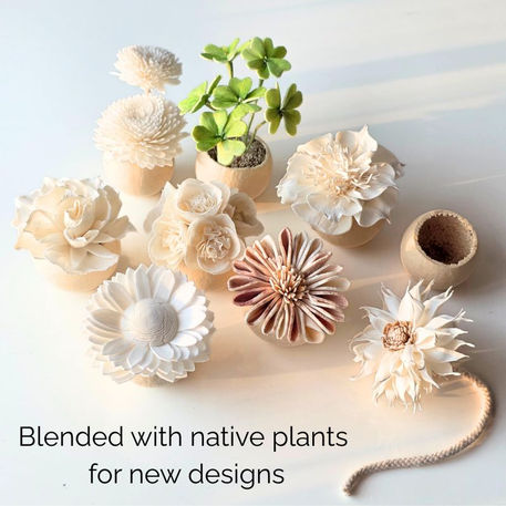 A collection of handcrafted Sola wood flowers creatively blended with various green native plants in small pots, illustrating the development of new floral products for global markets.