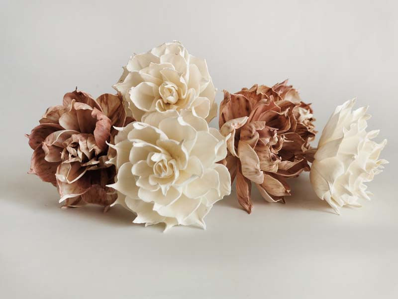 Thumbnail: 6 Rare Wood White Dahlia Sola Flower Reed Diffuser 3" for Home Fragrance