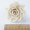 Thumbnail: Set of 4 DIY  3"  Dahlia and  Rose Sola Flower for Home fragrance Diffu