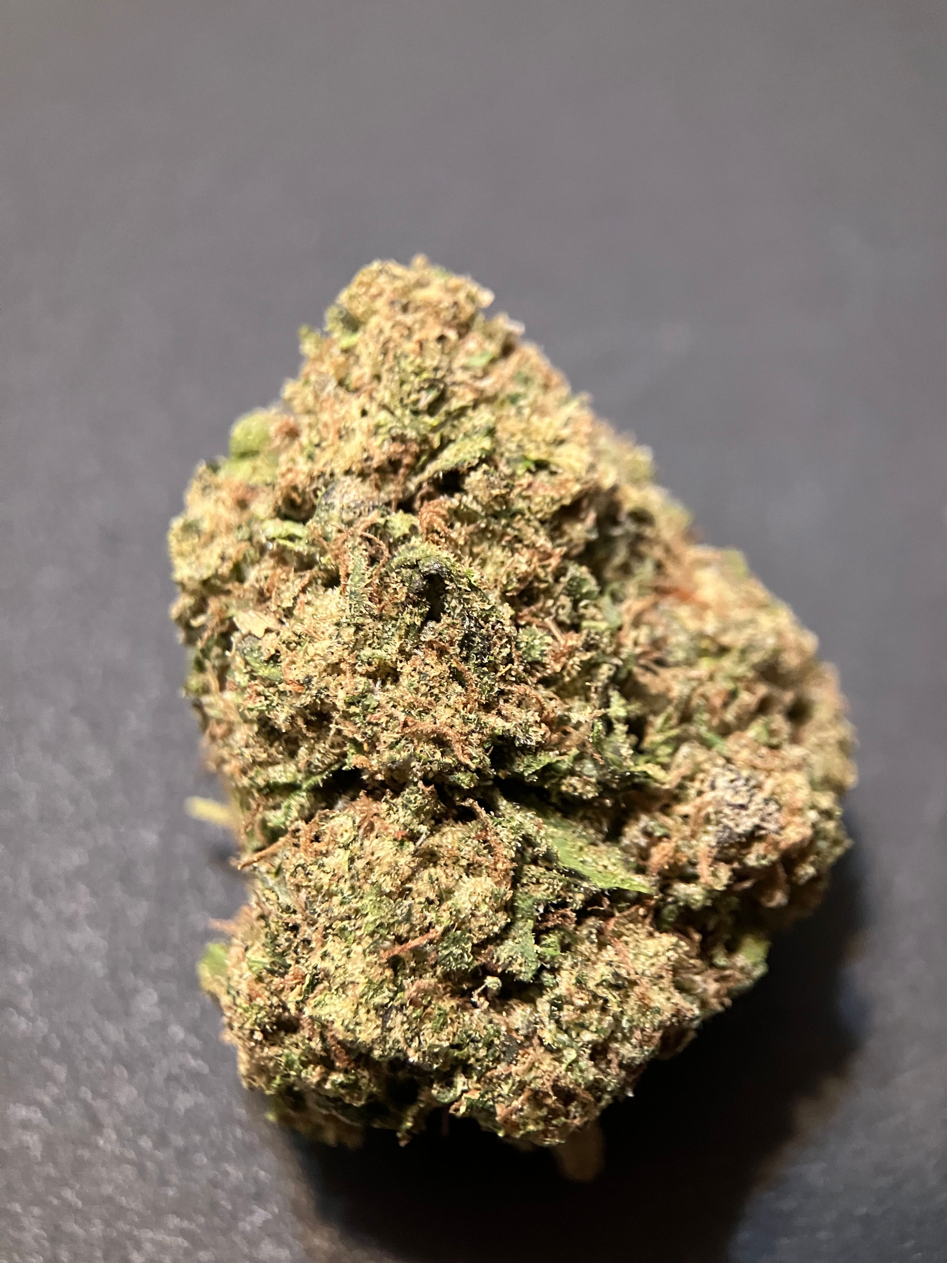 White Gelato (exotic)
