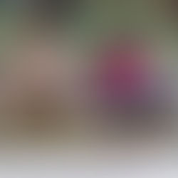 Do the Hustle in Rome