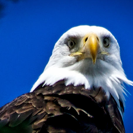 Ladysmith to Crofton