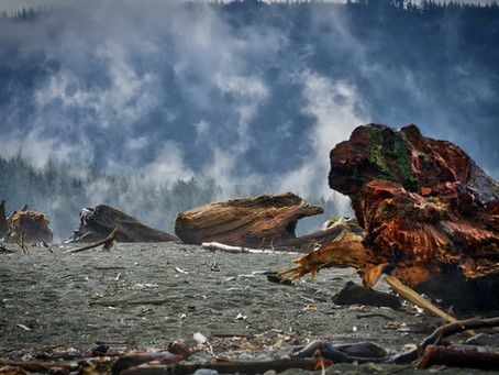 Port Renfrew Paradise