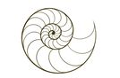 AE7B34EE-F1EA-407E-A627-D387F6DA6CC2_edi