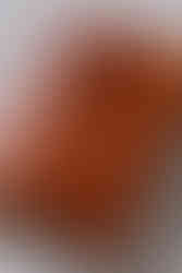 kožený obal na knihu s gravírovaným obrázkom