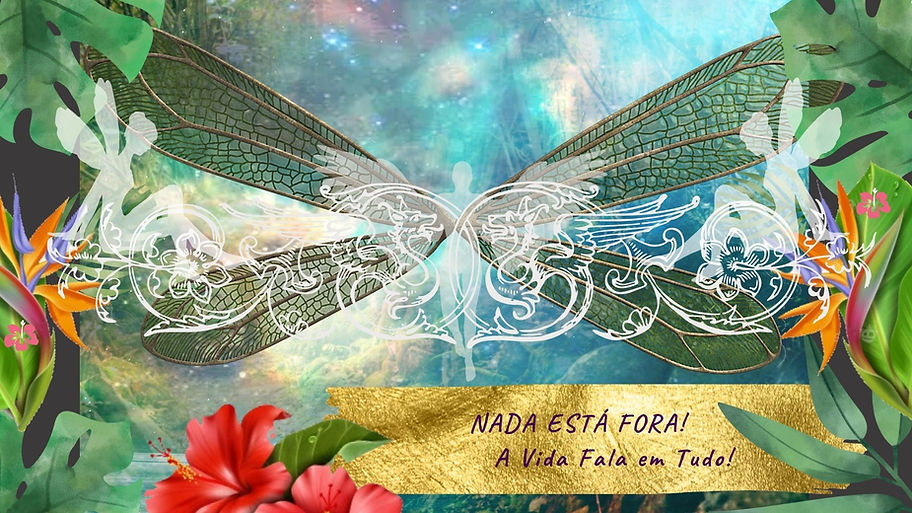 Design do Site  (22).jpg