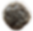 Black Sesame