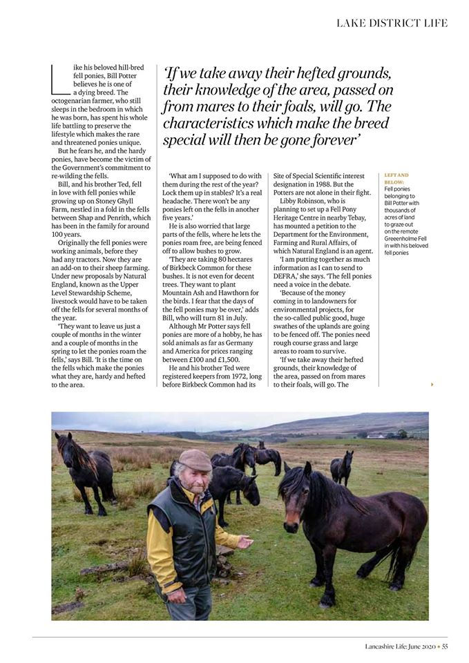 Supporting the Breed - Article