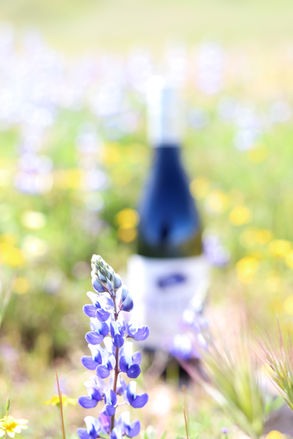 Wildflower with Syrah